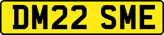 DM22SME