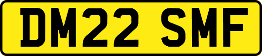 DM22SMF