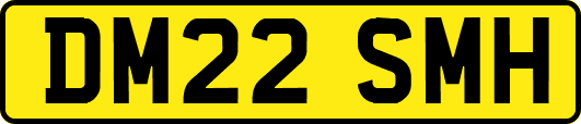 DM22SMH