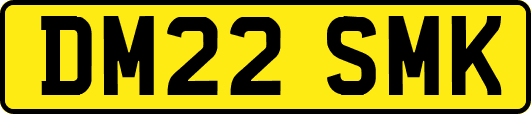 DM22SMK