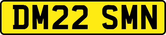 DM22SMN