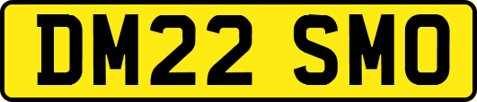 DM22SMO
