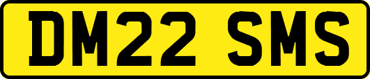 DM22SMS