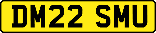 DM22SMU