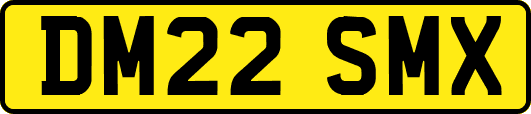 DM22SMX