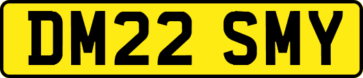 DM22SMY