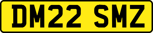 DM22SMZ