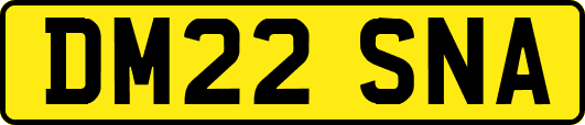 DM22SNA