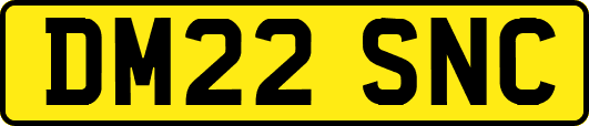 DM22SNC