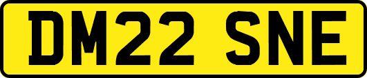DM22SNE