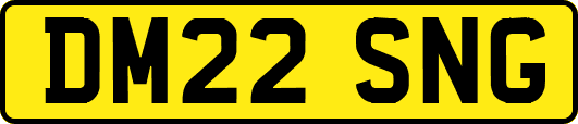 DM22SNG