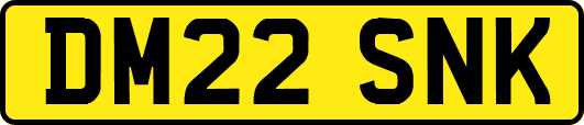 DM22SNK
