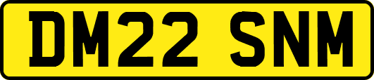 DM22SNM