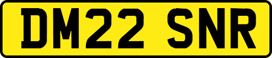 DM22SNR