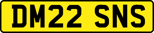DM22SNS