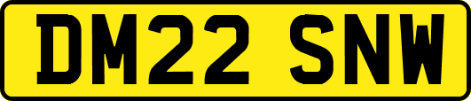 DM22SNW