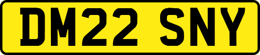 DM22SNY