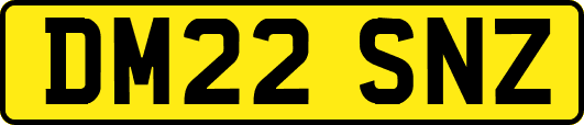 DM22SNZ
