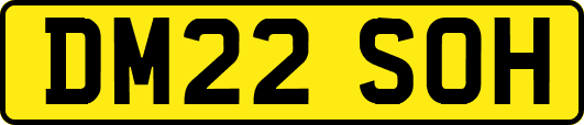 DM22SOH