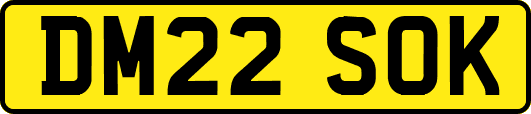 DM22SOK