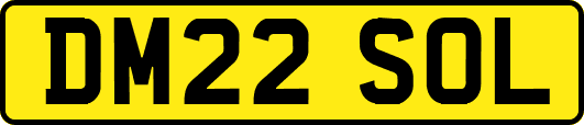 DM22SOL