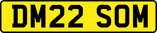DM22SOM