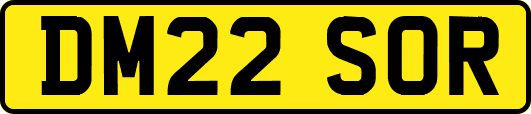 DM22SOR