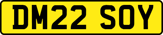 DM22SOY