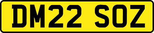 DM22SOZ