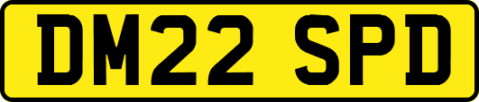 DM22SPD