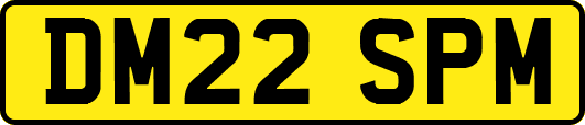 DM22SPM