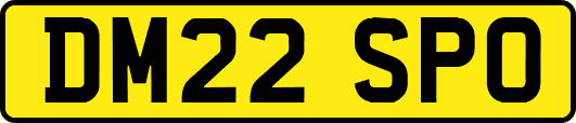 DM22SPO