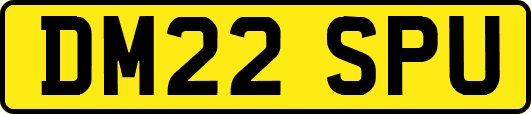 DM22SPU