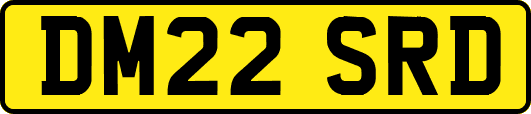 DM22SRD