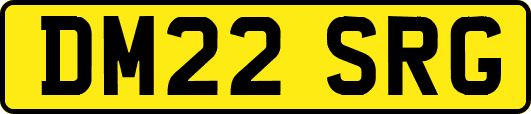 DM22SRG