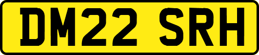 DM22SRH