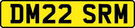 DM22SRM