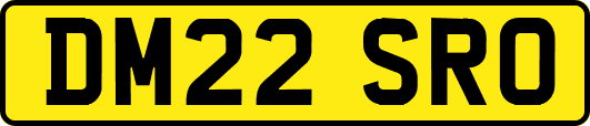 DM22SRO