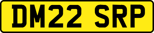 DM22SRP