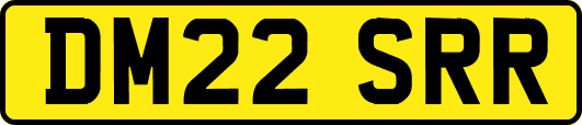 DM22SRR