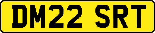 DM22SRT