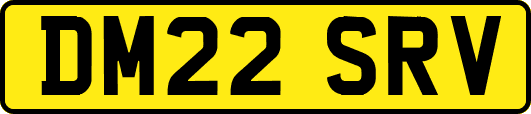 DM22SRV