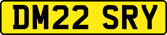 DM22SRY
