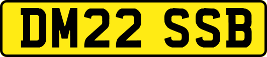 DM22SSB