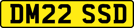 DM22SSD