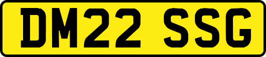 DM22SSG