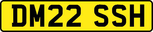 DM22SSH