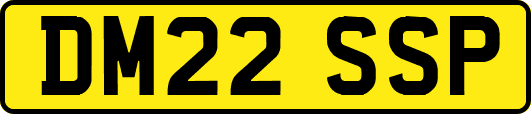 DM22SSP
