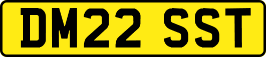DM22SST
