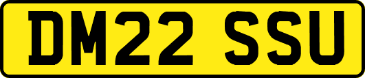 DM22SSU